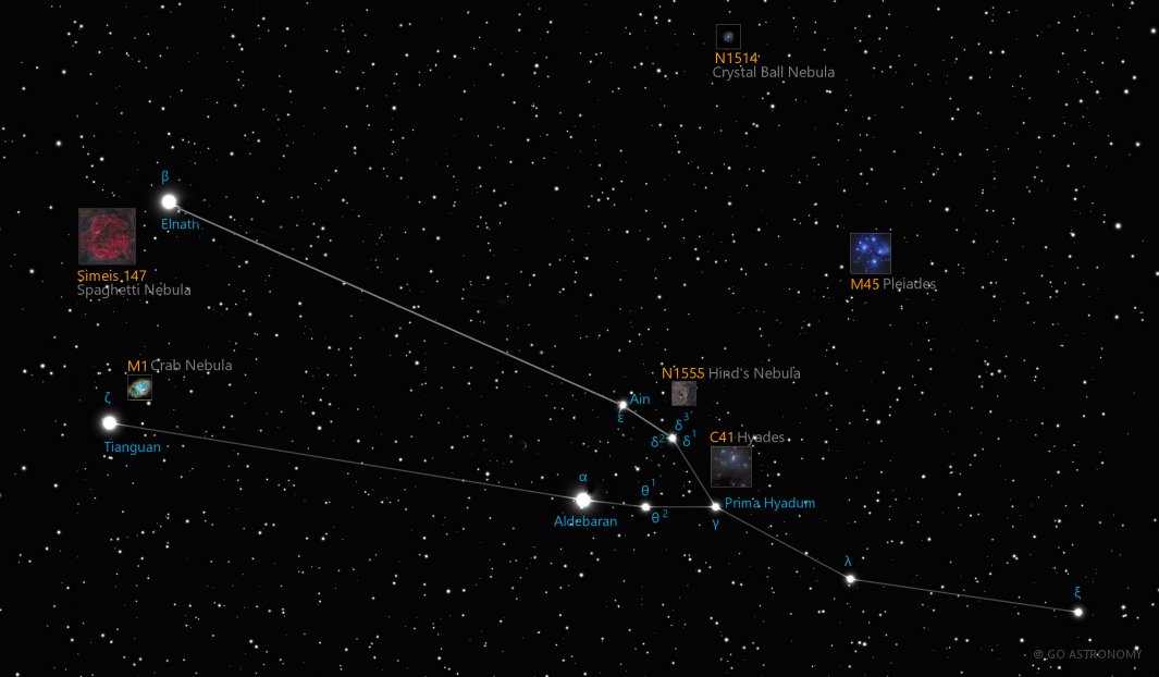 Constellation Taurus the Bull Star Map