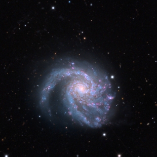 Coma Pinwheel Galaxy 