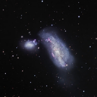 NGC-4490 (Herschel 250) 