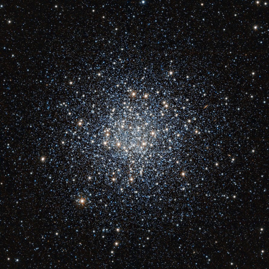 Messier 55 Summer Rose Star