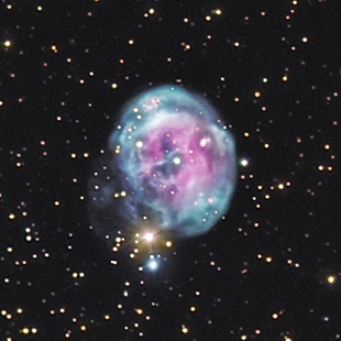 Fetus Nebula 