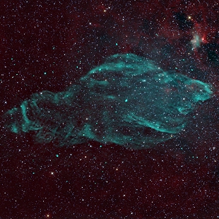 Manatee Nebula 