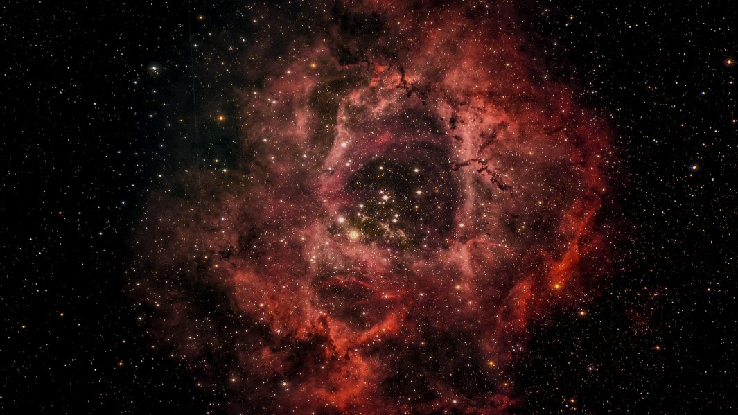 Caldwell 49 Rosette Nebula