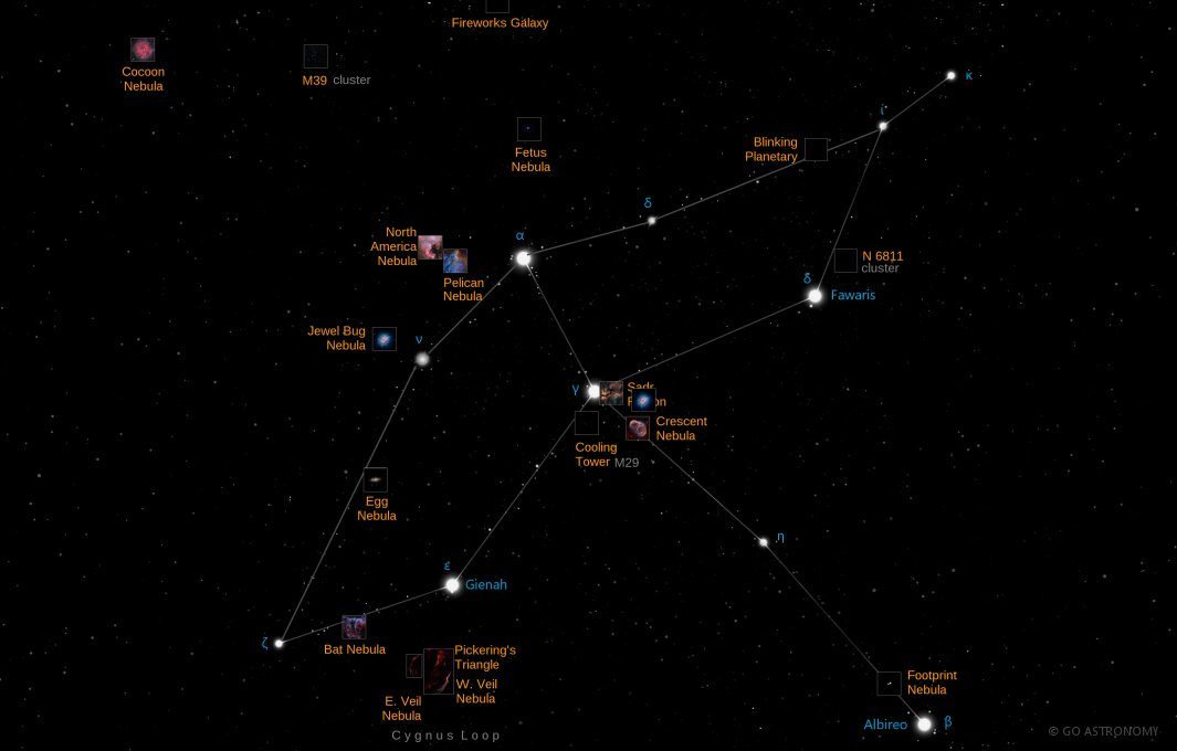 Constellation Cygnus the Swan Star Map