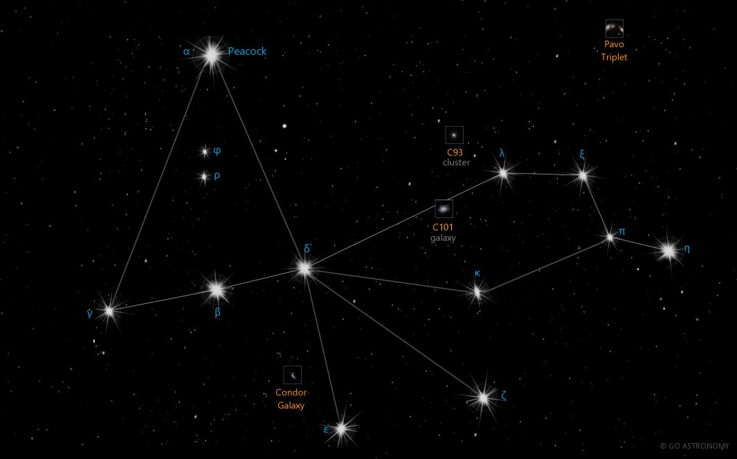 Constellation Pavo the Peacock Star Map