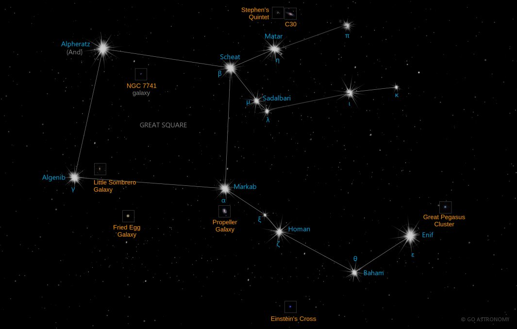 Constellation Pegasus the Winged Horse Star Map