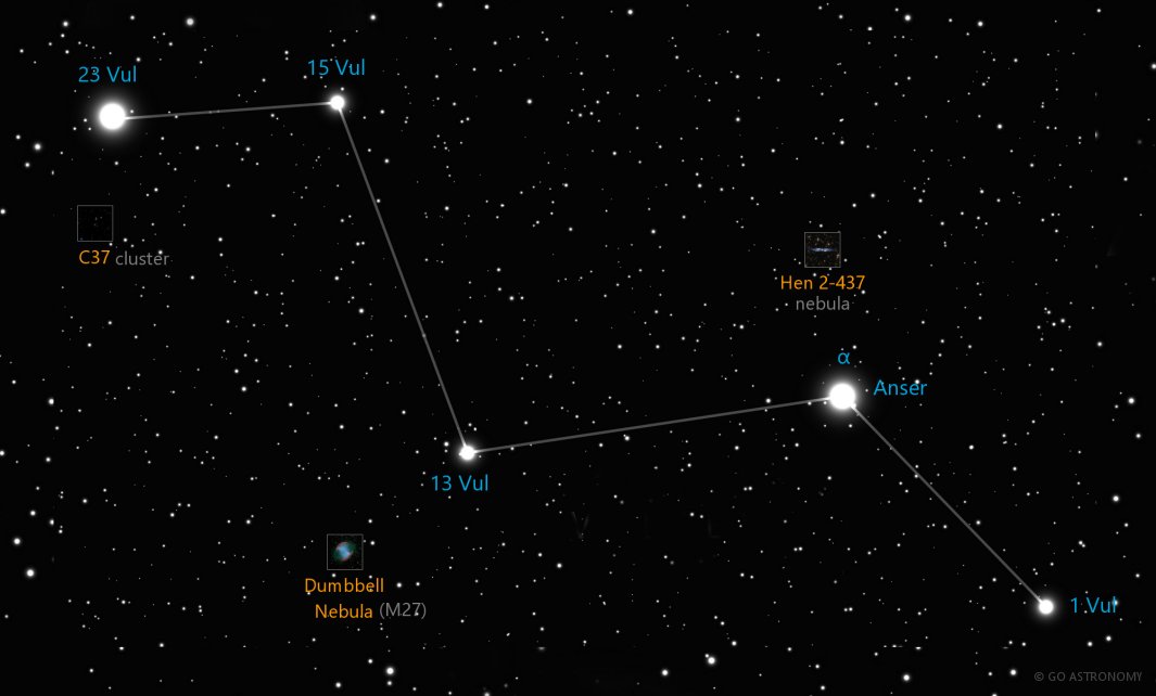 Constellation Vulpecula the Fox Star Map