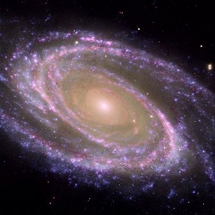 Bode's Galaxy