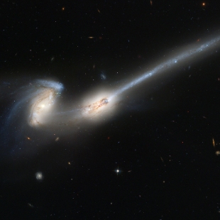 Mice Galaxies 