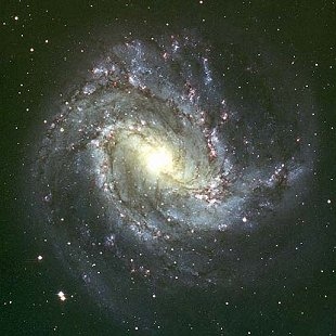 Southern Pinwheel Galaxy 