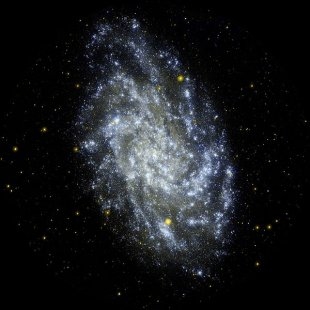 Triangulum Galaxy 