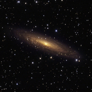NGC-2613 (Herschel 117) 