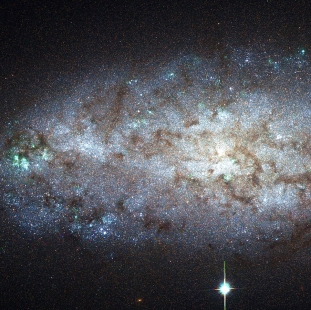 NGC-2976 (Herschel 134) 
