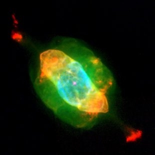 NGC-7009 (Herschel 377) Saturn Nebula