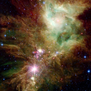 NGC 2264