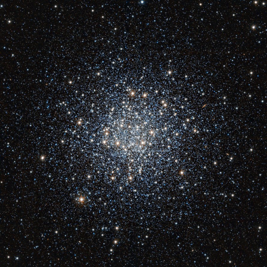Messier 55 Summer Rose Star
