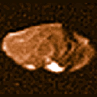 Leda: Moon of Jupiter | Go Astronomy