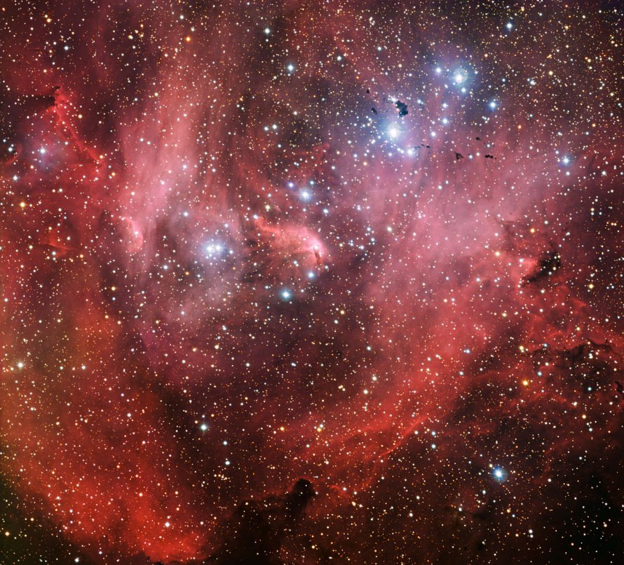 Running Chicken Nebula