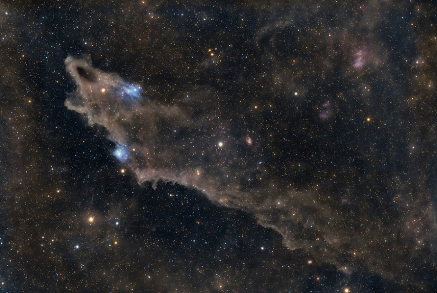 Shark Nebula