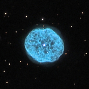 Oyster Nebula 