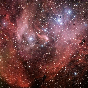 Running Chicken Nebula