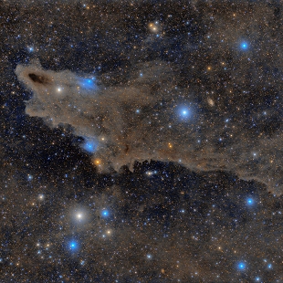 Shark Nebula