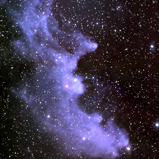 Witch Head Nebula