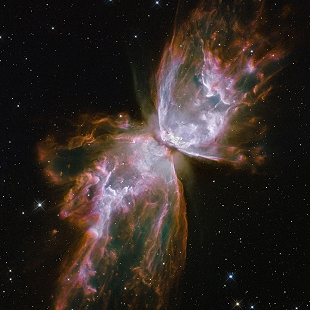 Bug Nebula