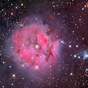 Cocoon Nebula