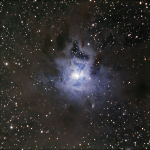 Iris Nebula