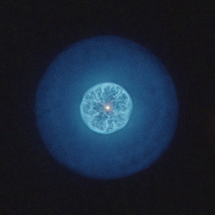 Lemon Slice Nebula 