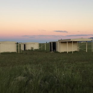 Grasslands & Sabino Canyon Observatory