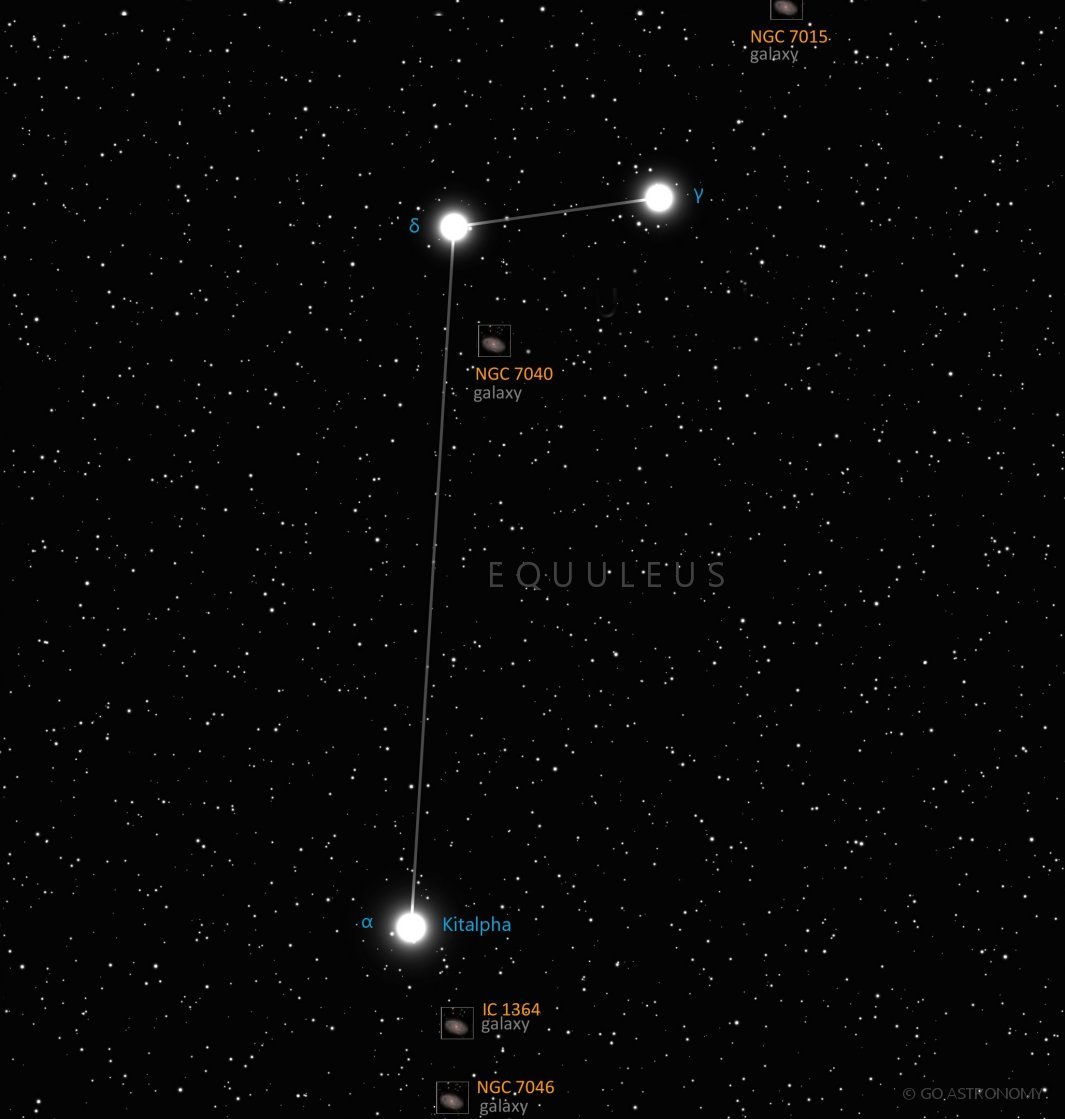 Constellation Equuleus the Pony Star Map
