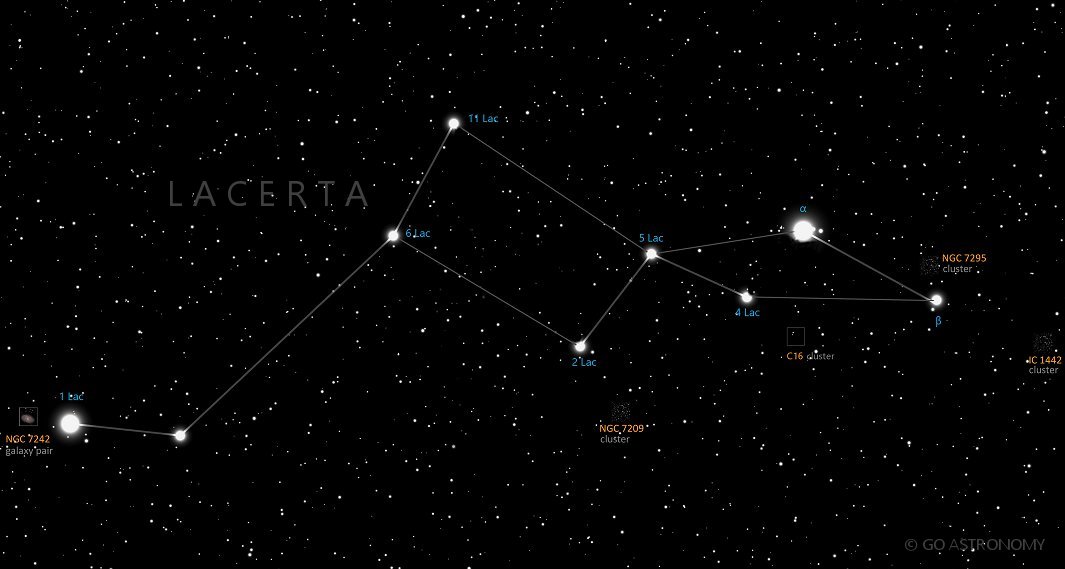 Constellation Lacerta the Lizard Star Map